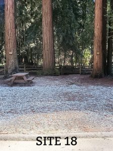 SITE 18