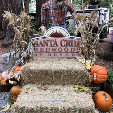 SCRRV Thanksgiving Potluck