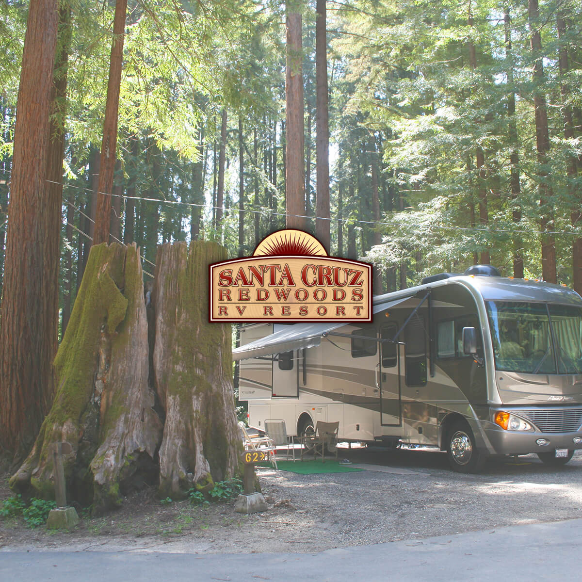 egoisme Velkommen nedadgående Santa Cruz Redwoods RV Resort | Camping In The Redwoods Felton CA