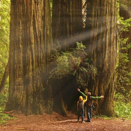 Top 7 Reasons to Stay at Santa Cruz Redwoods RV Resort