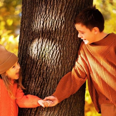 Family-Friendly Redwood Camping Activities