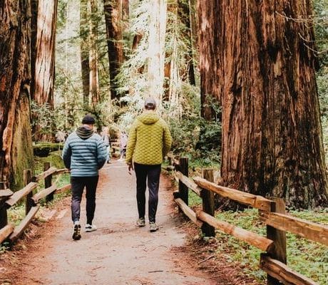 Seasonal Highlights: Best Times to Visit a Redwood RV Resort